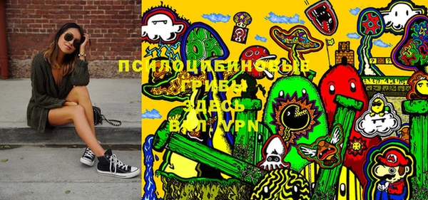 стаф Новый Уренгой