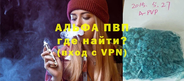 прущие грибы Орехово-Зуево